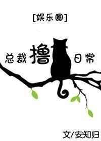 作者猫总裁