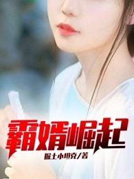 霸婿崛起老施TXT免费