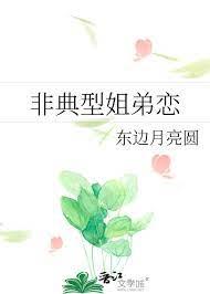 非典型姐弟恋百度