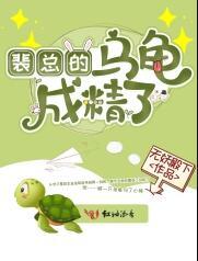 裴总的乌龟成精了阅读