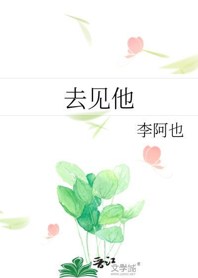 去见他免费阅读