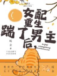 年代文女配重生后踹了男主的女儿