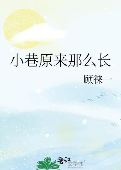 小巷原来那么长的歌词