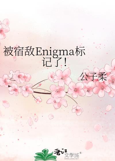 被宿敌Enigma标记了!百度