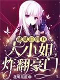 佣兵大小姐炸翻豪门全集视频