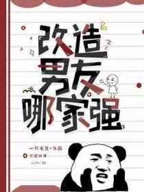 改造男主文