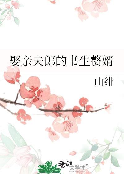 娶亲夫郎的书生赘婿txt