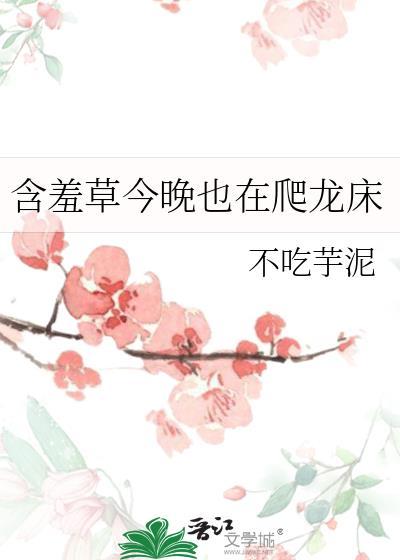 含羞草 早上