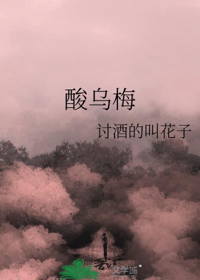 酸乌梅 讨酒的叫花子