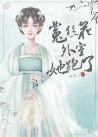 菟丝花外室跑路了 羁旅人
