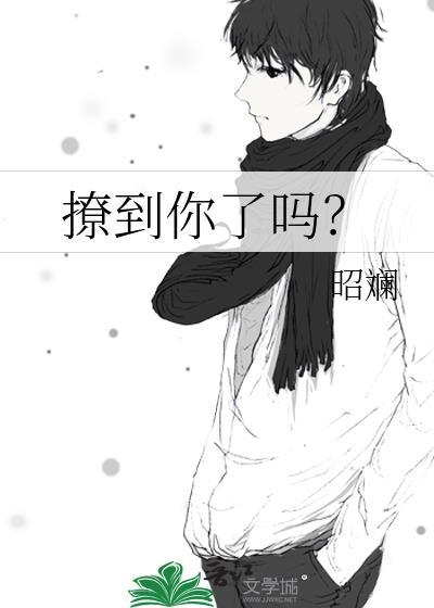 撩到你了吗昭澜