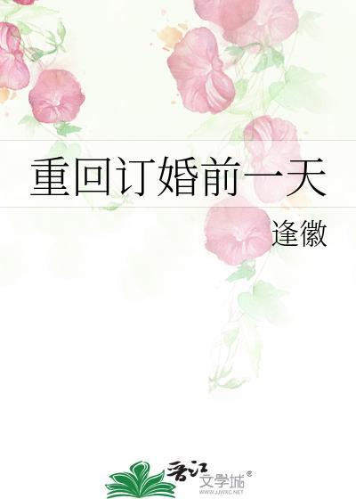 重回订婚前一天
