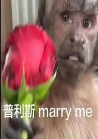 自我沉沦(nph)