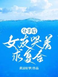 当年万里觅封侯