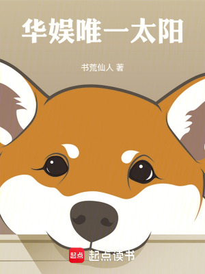 极品家丁之征服