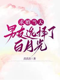 偷香高手(夫人们的香裙)
