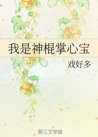 梦回红楼