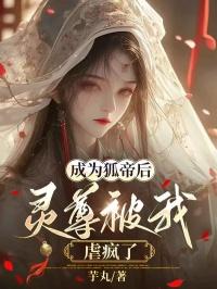 二次元之女神养成