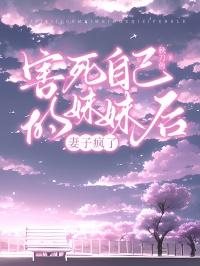 搅乱红楼梦