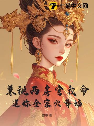 贵族学校的丝生活