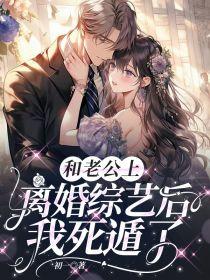 准夫妻性事
