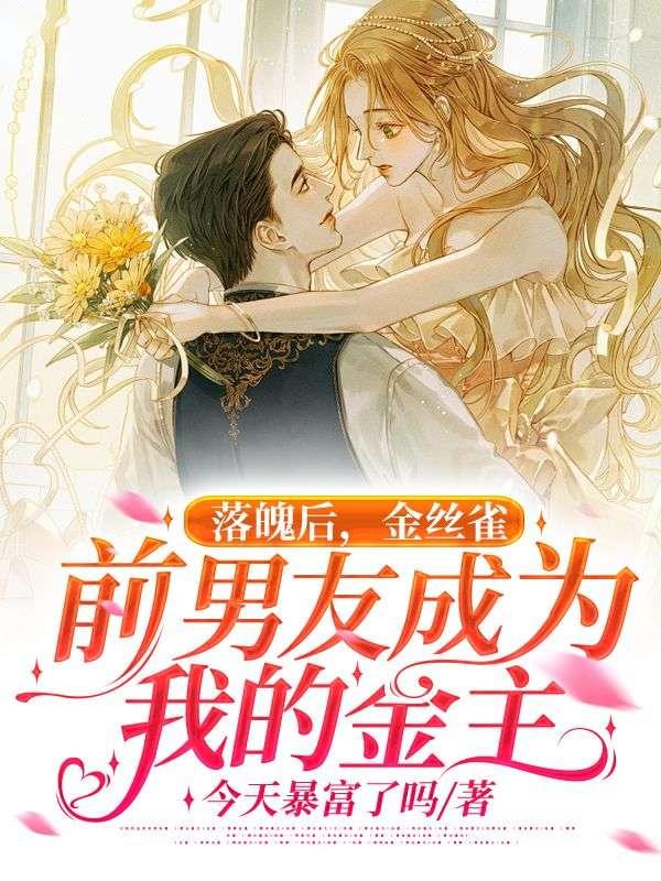 贾宝玉的幸福生活之现代版